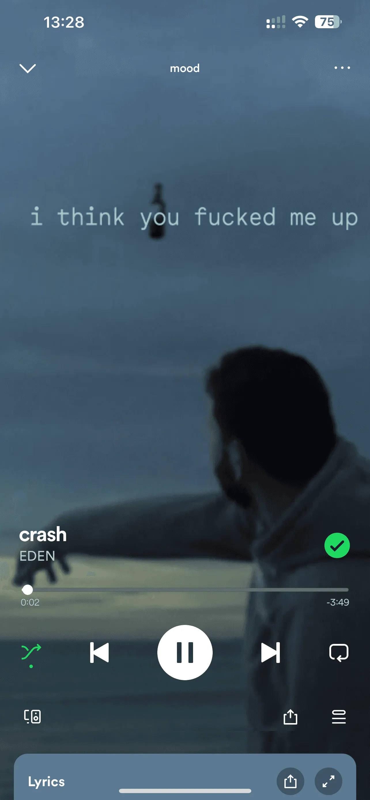 EDEN: Crash