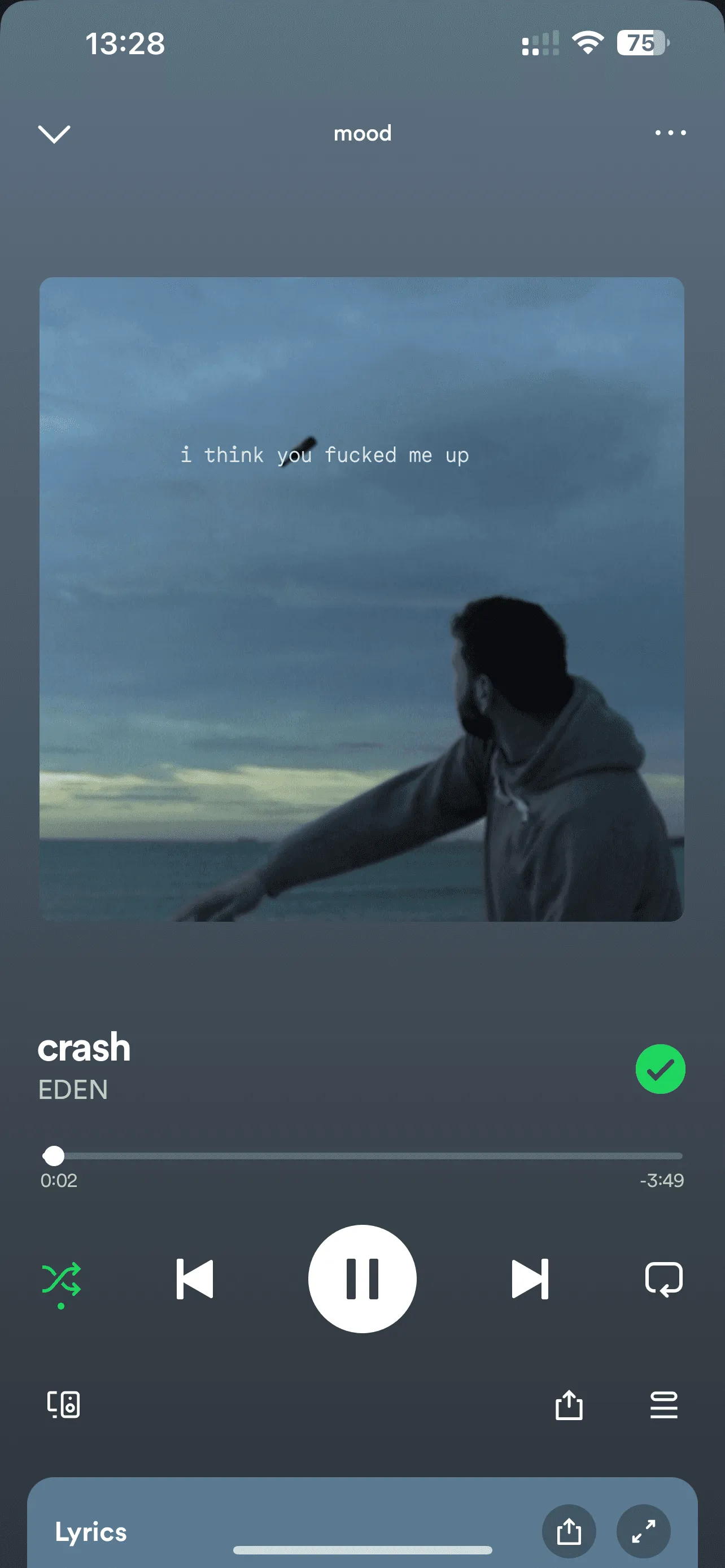 EDEN: Crash